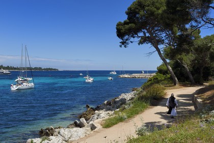 France, Alpes-Maritimes (06), Cannes, Iles de Lérins, Ile de Saint-Honorat, moine regagnant le monastère