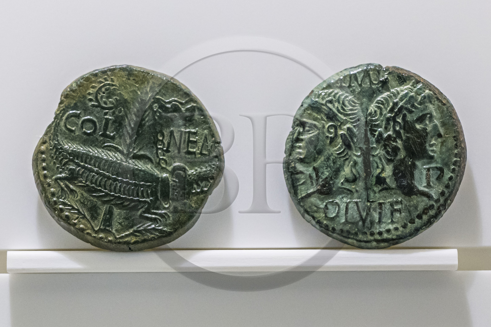France, Gard (30), Nîmes, Musée de la Romanité, pièce de monnaie en bronze Dupondius dit As de Nimes vers 10-15 après J.-C., avec au droit les profils d’Agrippa et de Tibère et au revers le crocodile enchaîné à la palme France, Gard (30), Nîmes, Musée de la Romanité, pièce de monnaie en bronze Dupondius dit As de Nimes vers 10-15 après J.-C., avec au droit les profils d’Agrippa et de Tibère et au revers le crocodile enchaîné à la palme
