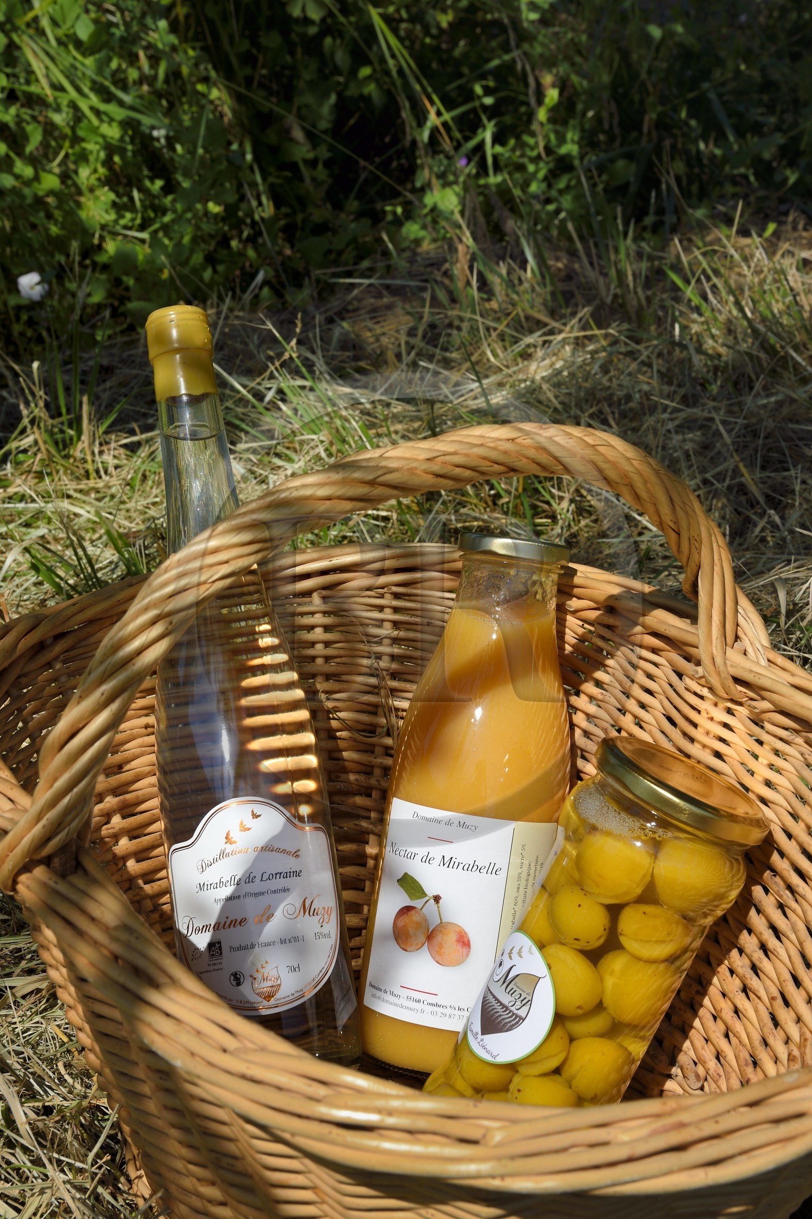 France, Meuse, Lorraine Regional Park, Cotes de Meuse, Combres sous les cotes, Domaine de Muzy, mirabelle products