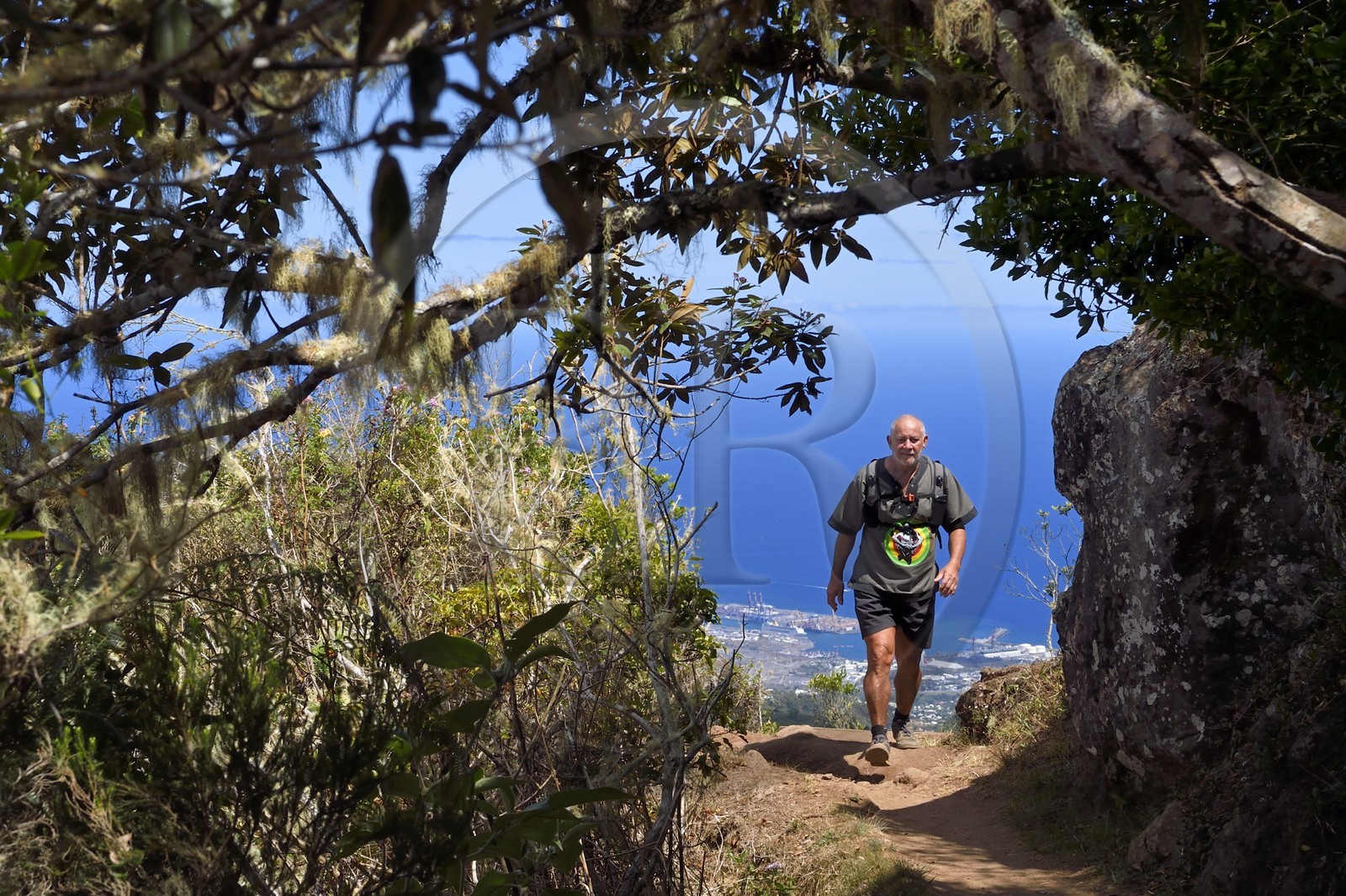 France, Ile de la Reunion, Parc National de la Réunion classé Patrimoine Mondial de l'UNESCO, La Possession, vers le village de Dos d'Ane, François Gaulin en randonnée de la Roche Bouteille par le sentier Cap Noir