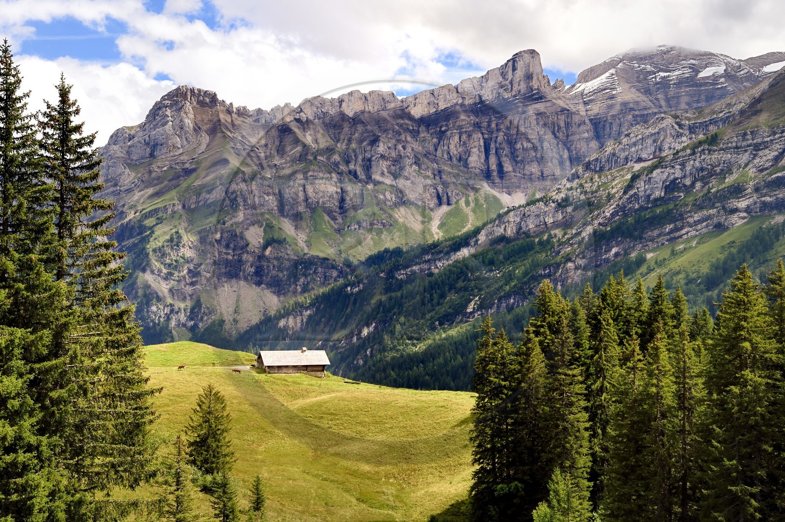 Suisse, Canton de Vaud, Ormont-Dessus, Les Diablerets, ferme vers le lac Retaud au dessus du Col du Pillon et la montagne de Schluchhorn en arrière plan