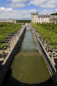 France, Indre et Loire, Loire Valley listed as World Heritage by UNESCO, Chateau de Villandry, the castle and the gardens, owned by Henry and Angelica Carvallo