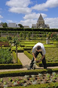 France, Indre et Loire, Loire Valley listed as World Heritage by UNESCO, Chateau de Villandry owned by Henry and Angelica Carvallo, formal gardens (jardins à la française)