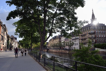 France, Bas-Rhin (67), Strasbourg, vieille ville classée Patrimoine Mondial de l'UNESCO, les bords de l'ill quai des Bateliers transformé en zone de rencontre réservée aux piétons et la cathédrale