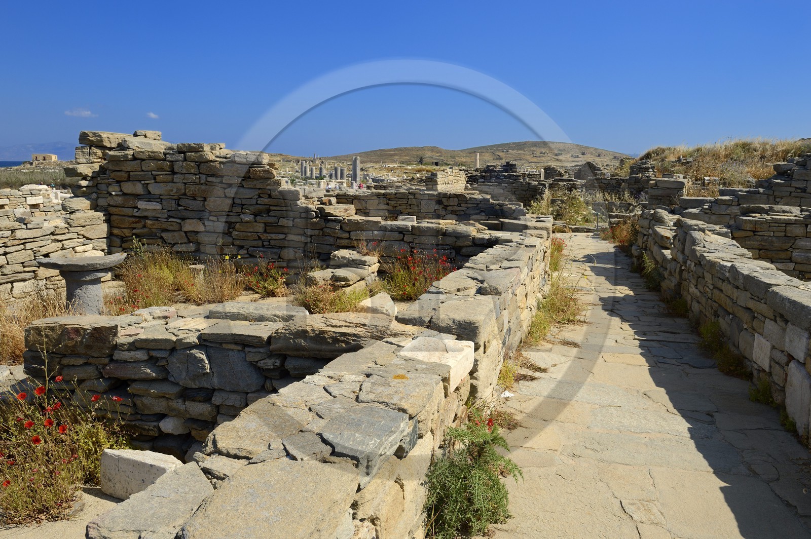 Grèce, île de Delos, classée Patrimoine Mondial de l'UNESCO, site archéologique de Délos, sanctuaire d'Apollon, la plus grande cité antique de la mer Egée, quartier du théatre