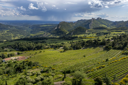 France, Vaucluse (84), Dentelles de Montmirail, le vignoble autour du village de Suzette, le Clapis prolongé par le Grand Montmirail à gauche, les Dentelles Sarrasines au centre et le Grand Travers tout à droite en arrière plan (vue aérienne)
