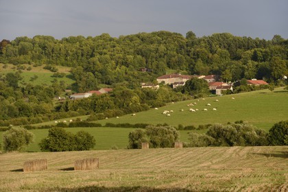 France, Meurthe-et-Moselle (54), pays du Saintois, colline de Sion-Vaudémont et le village de Saxon-Sion