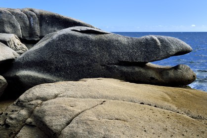 France, Finistère (29), région de Concarneau, Tregunc, bords de mer à la Pointe de la Jument