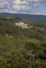France, Vaucluse, Dentelles de Montmirail mountains, Le Barroux, the Barroux castle emerging from the forest in the background
