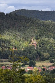 France, Bas Rhin, Northern Vosges Regional Natural Park, Obersteinbach, Klein Arnsberg Castle ruins overlooking the village and the Catholic Church