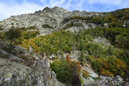 France, Haute Corse, Vivario, hiking on the GR 20, between Onda refuge and Vizzavona, Vizzavona forest, Englishmen cascades, waterfalls group in the Agnone valley under the Monte d'Oro