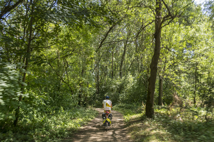 France, Maine-et-Loire, Loire valley listed as World Heritage by UNESCO, Dampierre to the east of Saumur, cycling along the banks of the Loire on the Loire à Vélo cycle path, bike with a trailer carrying camping equipment