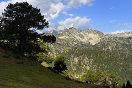 France, Hautes Pyrenees, Saint Lary Soulan and Vielle-Aure, hike on a variant of the GR10 between the Portet pass and the Bastan lakes on the edge of the Neouvielle nature reserve