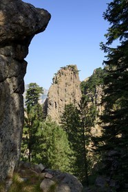 France, Corse-du-Sud (2A), Alta Rocca, randonnée dans le massif de Bavella au Punta Velacu