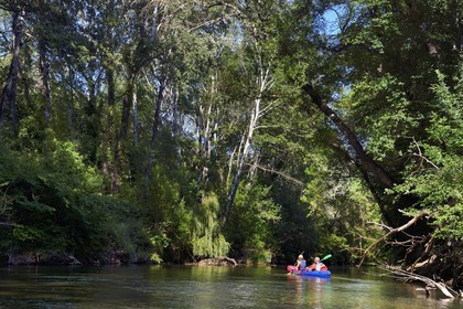 France, Var, Provence Verte, canoeing on the river Argens between Carces and Le Thoronet