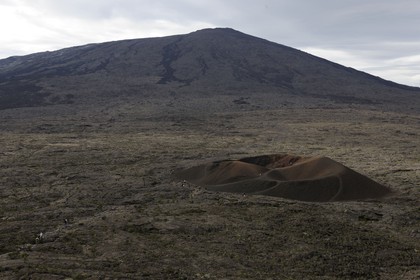 France, île de la Réunion, volcan du Piton de la Fournaise, classé Patrimoine Mondial de l'UNESCO, le cratère Formica Léo au premier plan et le cratère Dolomieu dans l'Enclos