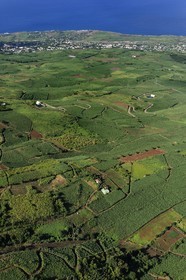 France, Reunion island (French overseas department), West Coast, the sugar cane fields on the slopes of the Tevelave above Piton Saint Leu (aerial view)