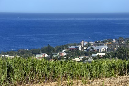 France, Ile de la Reunion, côte sud, Petite-Ile, champ de canne à sucre et Grands-Bois en arrière plan