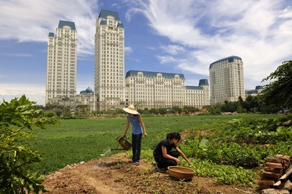 Vietnam, Hanoï, Cau Giay district, new luxury buildings The Manor in former rice fields
