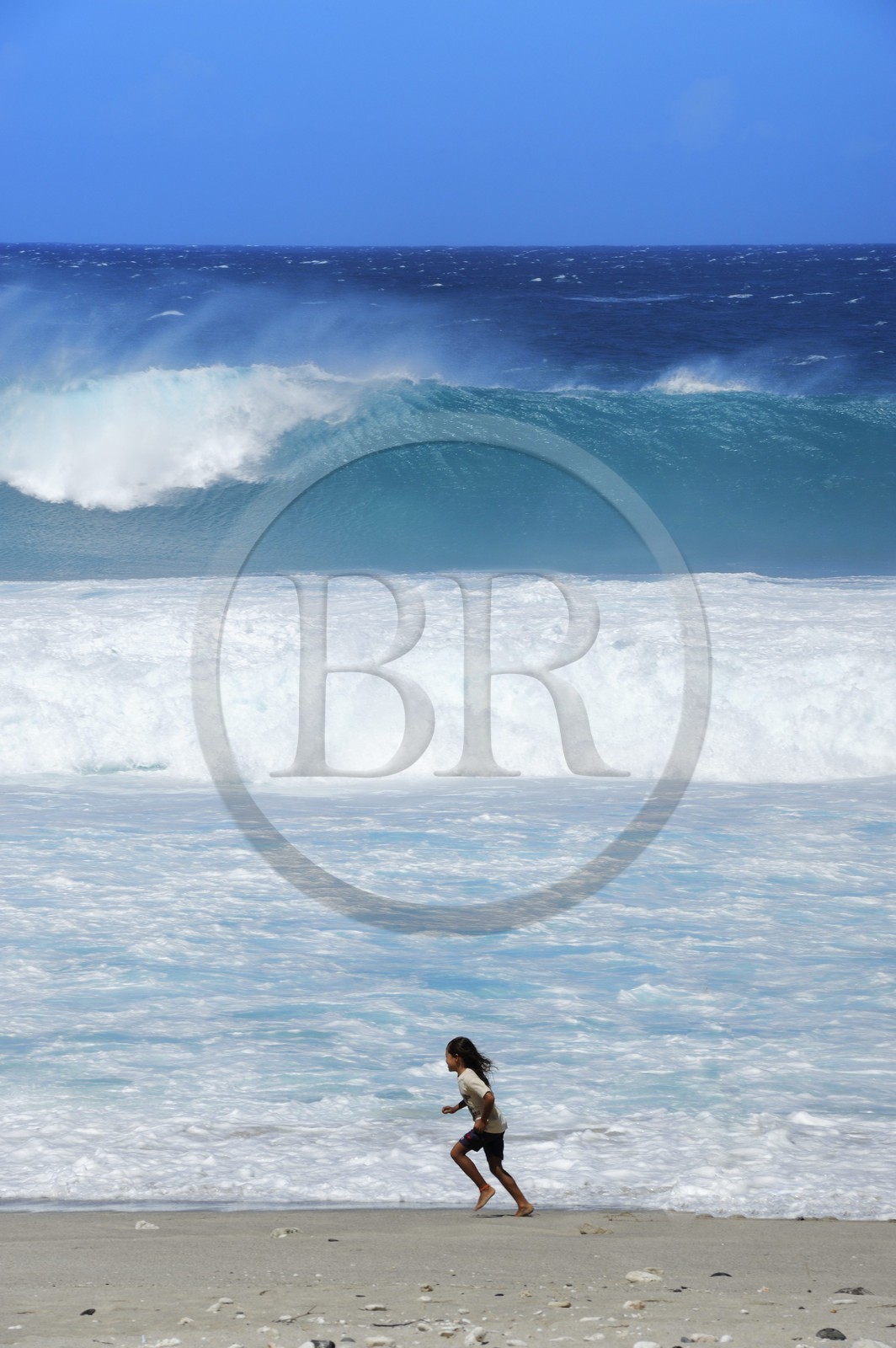 France, île de la Réunion, la côte sud, plage de Grand-Anse