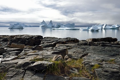 Greenland, west coast, Disko Island, Qeqertarsuaq village bay, icebergs in the mist