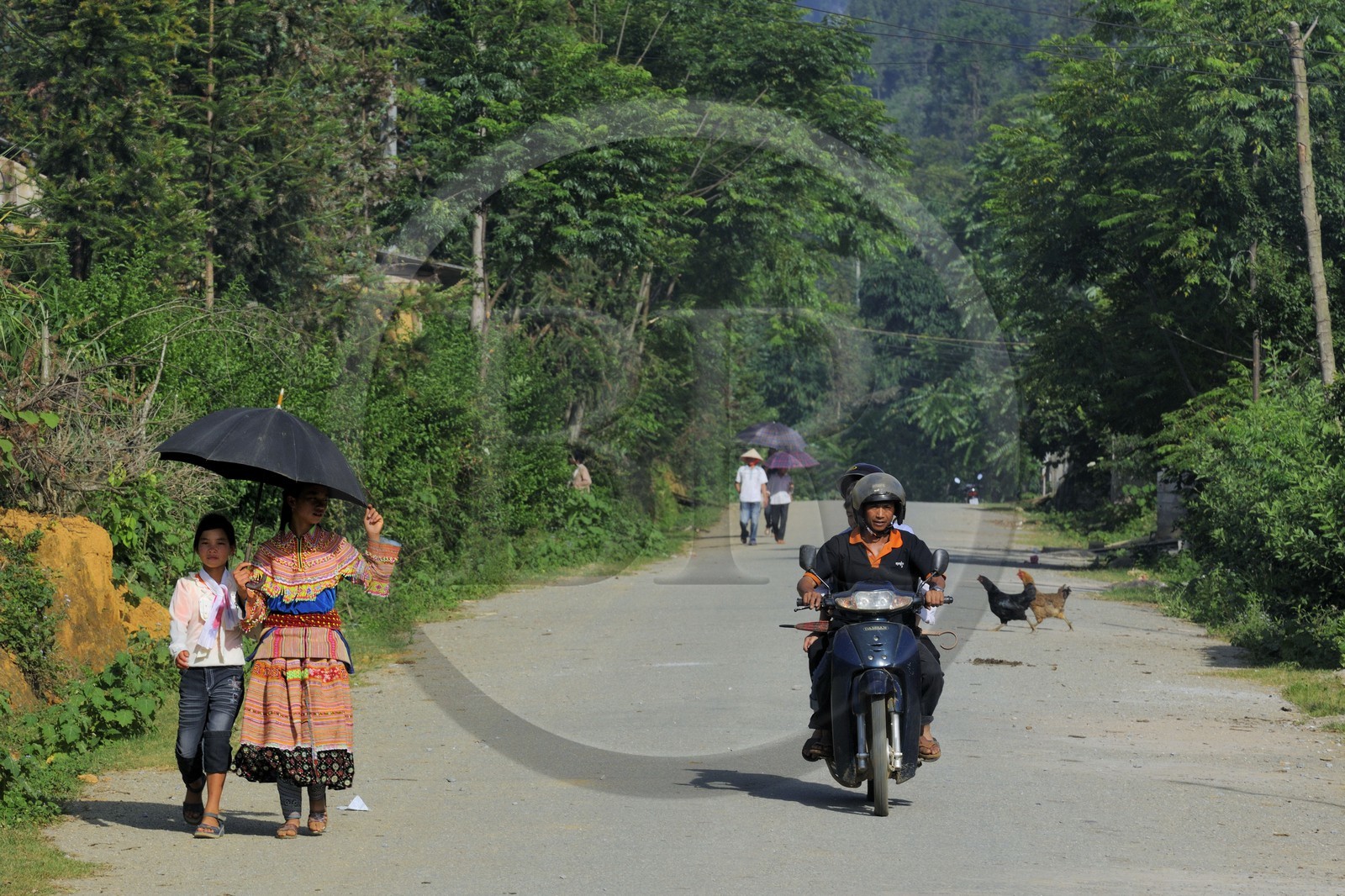 Vietnam, province de Lao Cai, région de Bac Ha, jeunes filles de la minorité Hmong Fleur