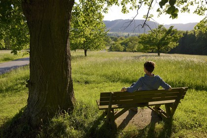 France, Bas-Rhin (67), Hengwiller, paysage champêtre