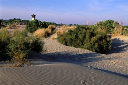 France, Gard, Port-Camargue, the headland of the Espiguette and its lighthouse
