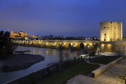 Espagne, Andalousie, Cordoue, centre historique classé Patrimoine Mondial de l'UNESCO, la Tour de la Calahorra, le pont romain sur le Guadalquivir du Ier siècle avant JC et la mosquée cathédrale en arrière plan