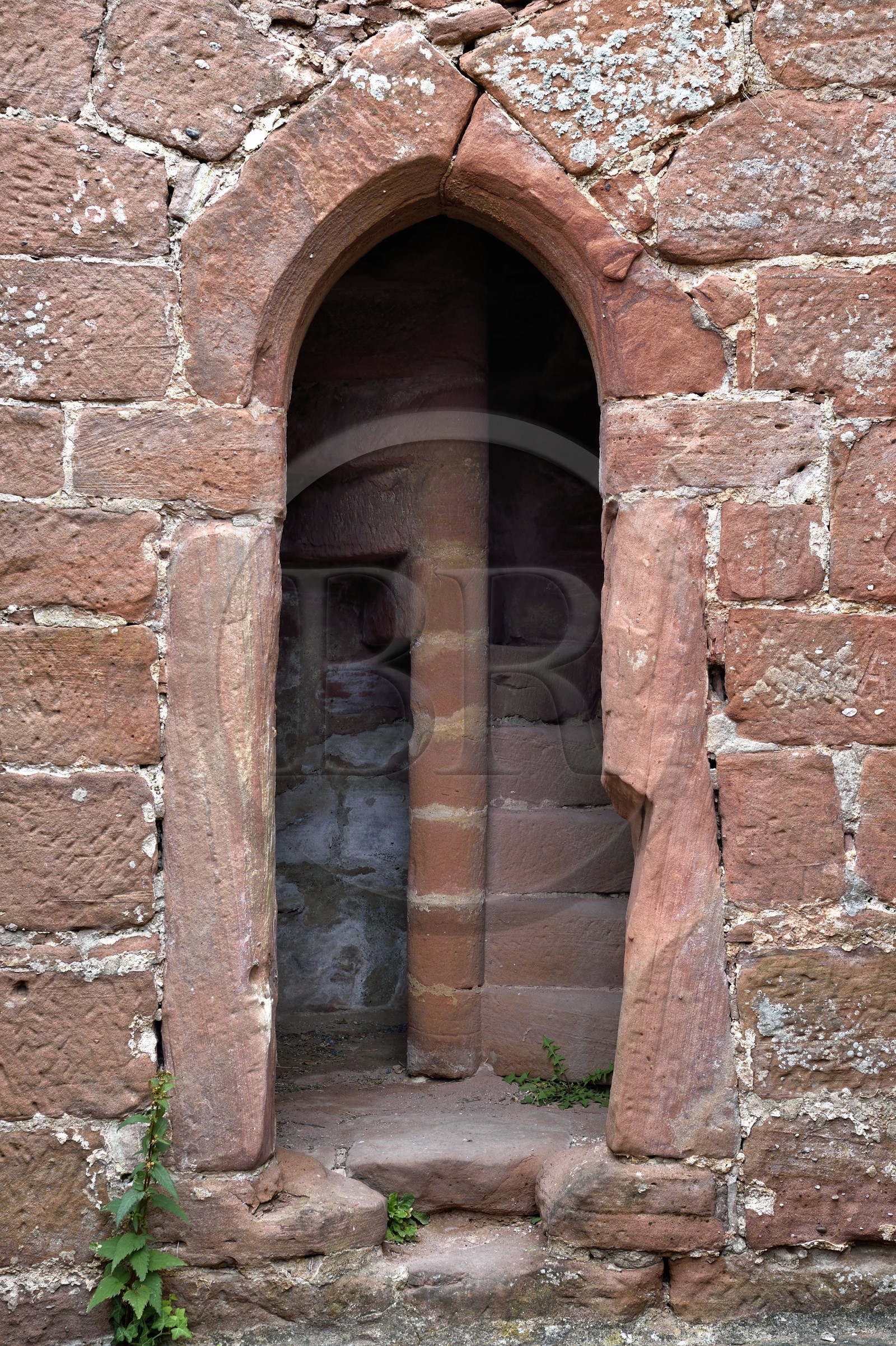 France, Bas-Rhin (67), Parc naturel régional des Vosges du Nord, Niedersteinbach, foret domaniale de Steinbach, ruines du chateau de Wasigenstein