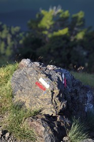 France, Hautes Pyrenees, Saint Lary Soulan and Vielle-Aure, the GR10 (Grande Randonnee itinerary) mark between the Portet pass and the Bastan lakes on the edge of the Neouvielle nature reserve