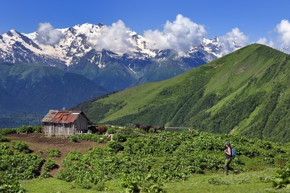 Georgia, Upper Svaneti (Zemo Svaneti), Mestia, hiker on the foothills of Mount Ushba