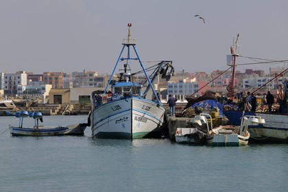 Morocco, Oriental Region, Ras Kebdana (also called Cabo de Agua), fishing harbour and marina