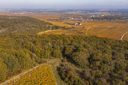 France, Côte-d'Or (21), Paysage culturel des climats de Bourgogne classés Patrimoine Mondial de l'UNESCO, Vougeot, Route des Grands Crus, vue depuis les collines du chateau du Clos de Vougeot entouré de vignoble dans les climats (vue aérienne)