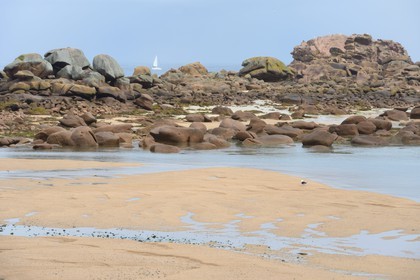 France, Cotes-d'Armor, Cote de Granit Rose (the Pink Granite coast), Tregastel, Renote island