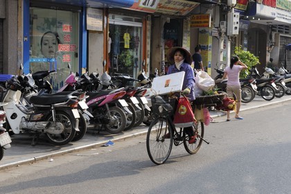Vietnam, Hanoï, vieille ville, marchande de quatre saisons à vélo