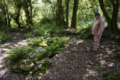 France, Finistere, Parc Naturel Regional d'Armorique (Armorica Regional Natural Park), Monts d'Arree, Brasparts, the story teller Claude Le Lann explains local mythology, energetic phenomenons and telluric power of some places, such as a druidic source here