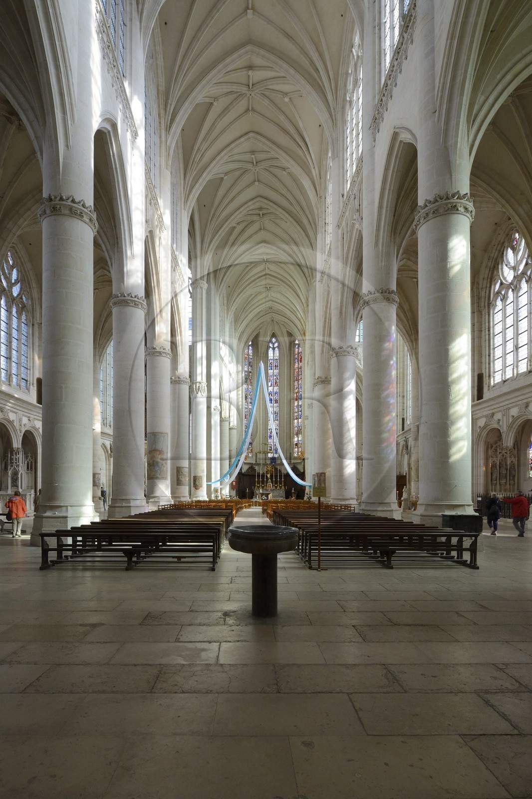France, Meurthe-et-Moselle (54), la basilique Saint-Nicolas-de-Port, la nef courbe