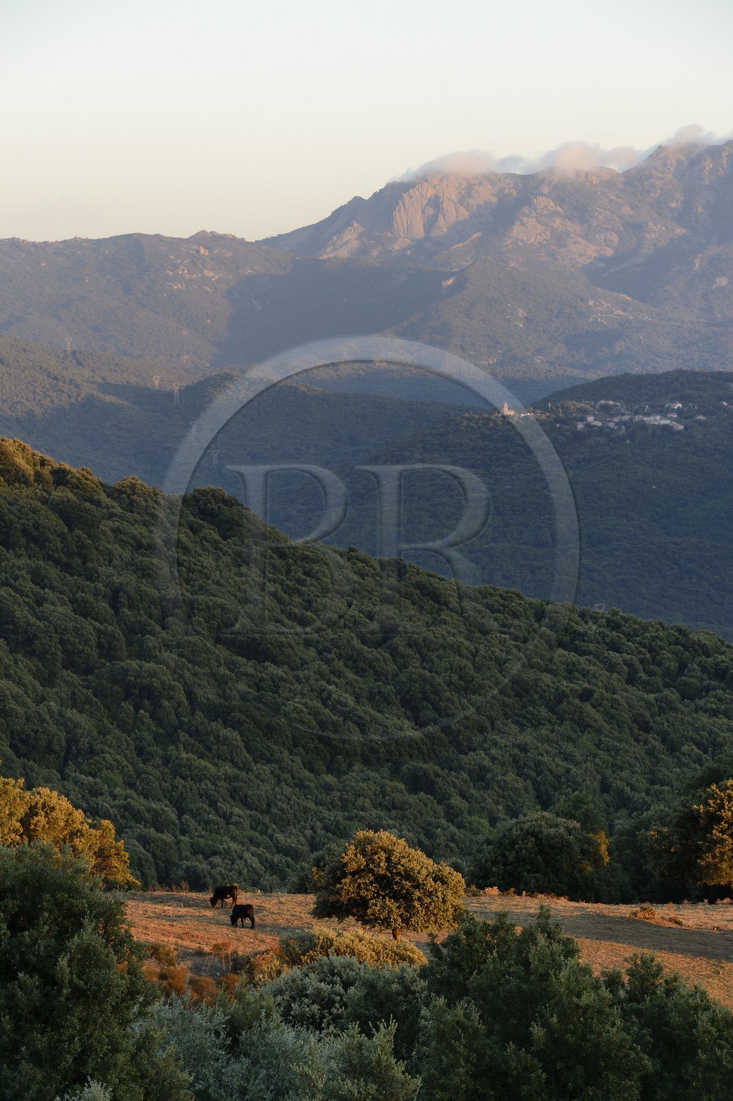 France, Corse du Sud, Alta Rocca, Fiumicicoli river valley and the village of Pantano in the background France, Corse du Sud, Alta Rocca, Fiumicicoli river valley and the village of Pantano in the background