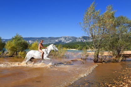 France, Var (83), Parc Naturel Régional du Verdon, lac de Sainte Croix, randonnée équestre avec Verdon Equitation