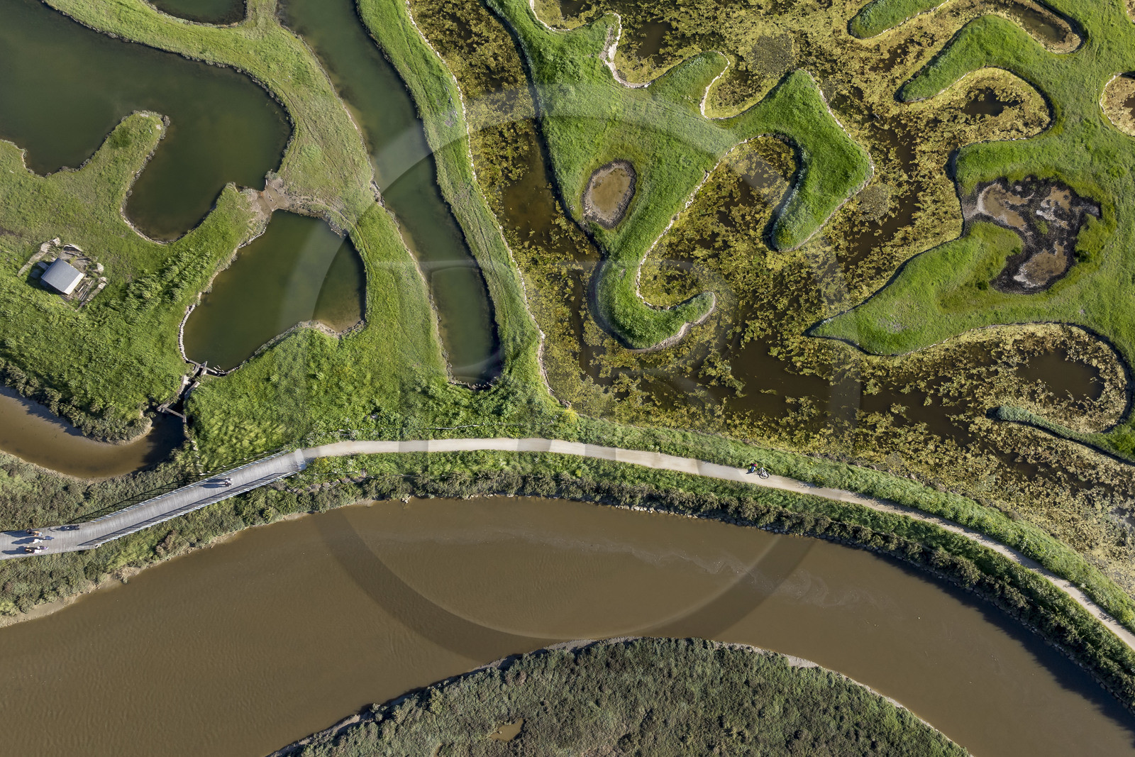 France, Vendée (85), Talmont-Saint-Hilaire, marais de la Guittière dans l'arrière pays de la Pointe du Payré, passage du Cul d’Ane, marais aménagés pour la pisciculture de dorades, mulets et anguilles (vue aérienne)