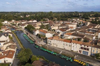 France, Deux-Sèvres, le Marais Poitevin, Green Venice, Coulon, labelled Les Plus Beaux Villages de France (The Most Beautiful Villages of France), flat-bottomed boats on the banks of the Sèvre Niortaise (aerial view)
