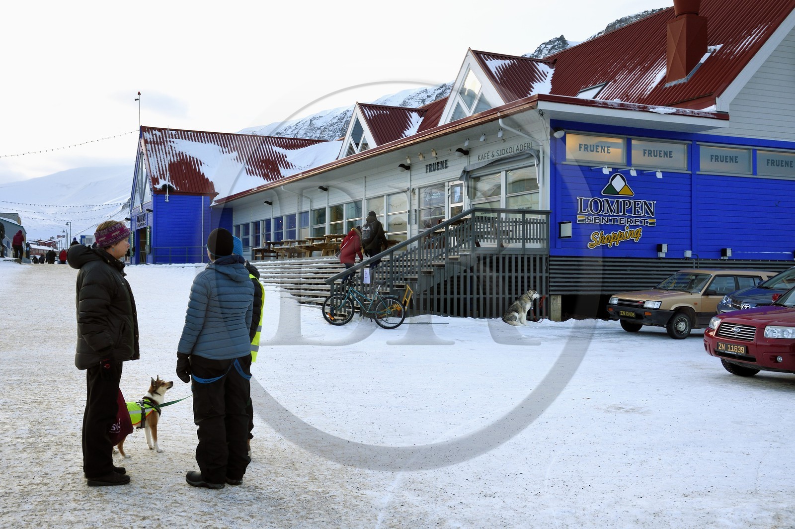 Norvège, Svalbard, Spitzberg, Longyearbyen, chien devant le centre commercial Lompensentret dans la rue principale