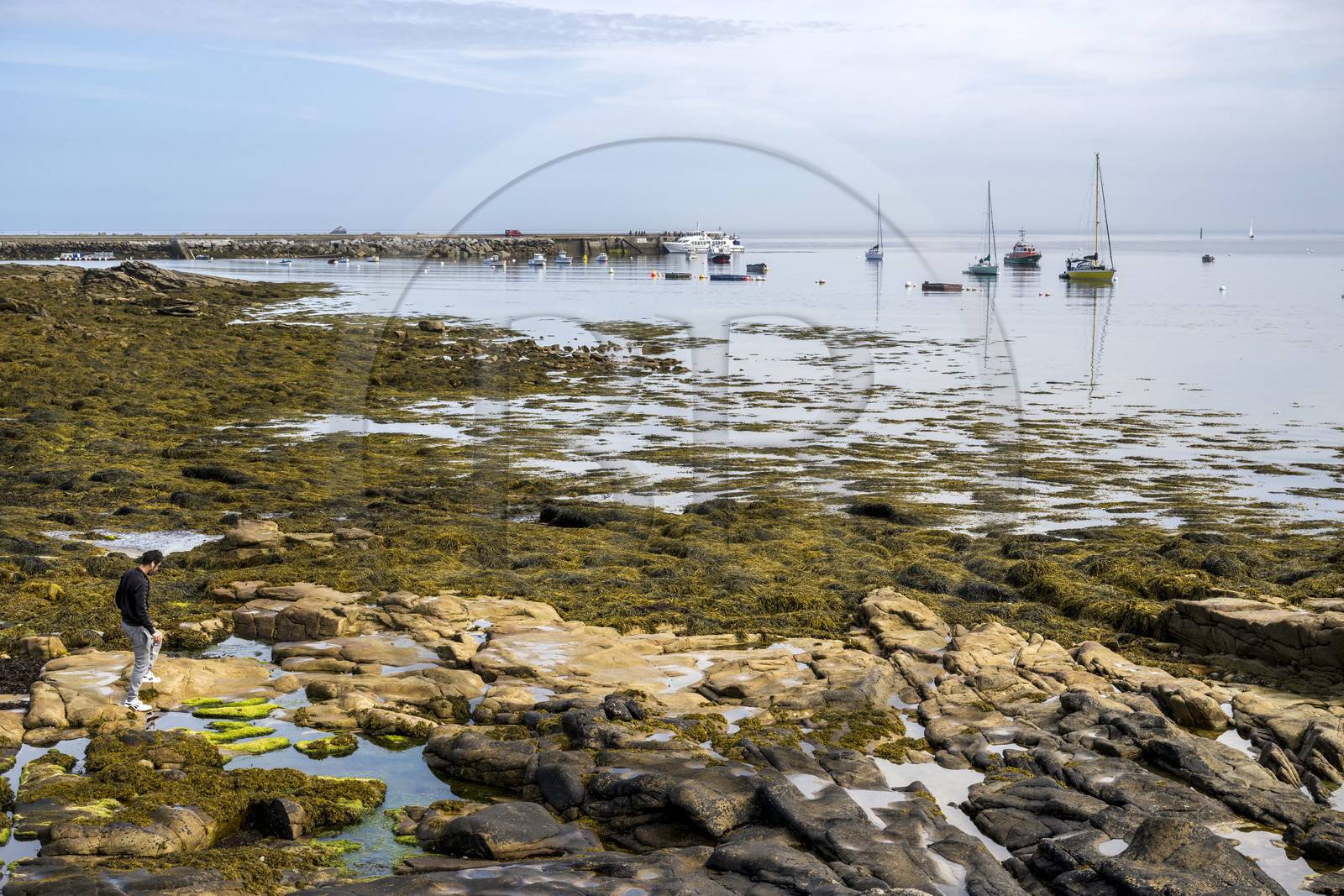 France, Finistère (29), Mer d'Iroise, Ile de Molène, navire de la Penn ar Bed assurant la liaison avec les iles de Molène et Ouessant à quai à Molène