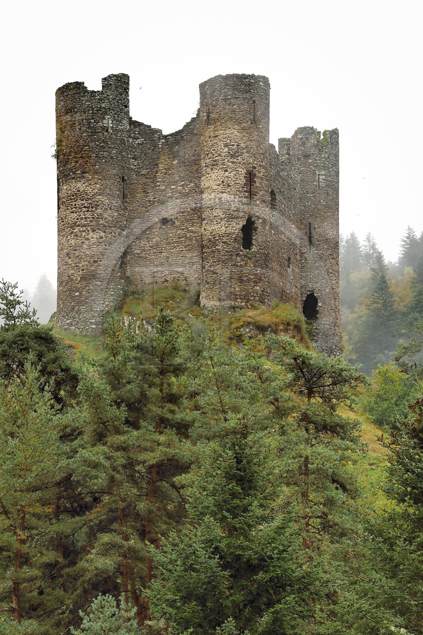 France, Cantal (15), Gorges de la Truyère, Alleuze, ruines féodales perchées du château fort d'Alleuze du XIIIe siècle reconstruit en 1405