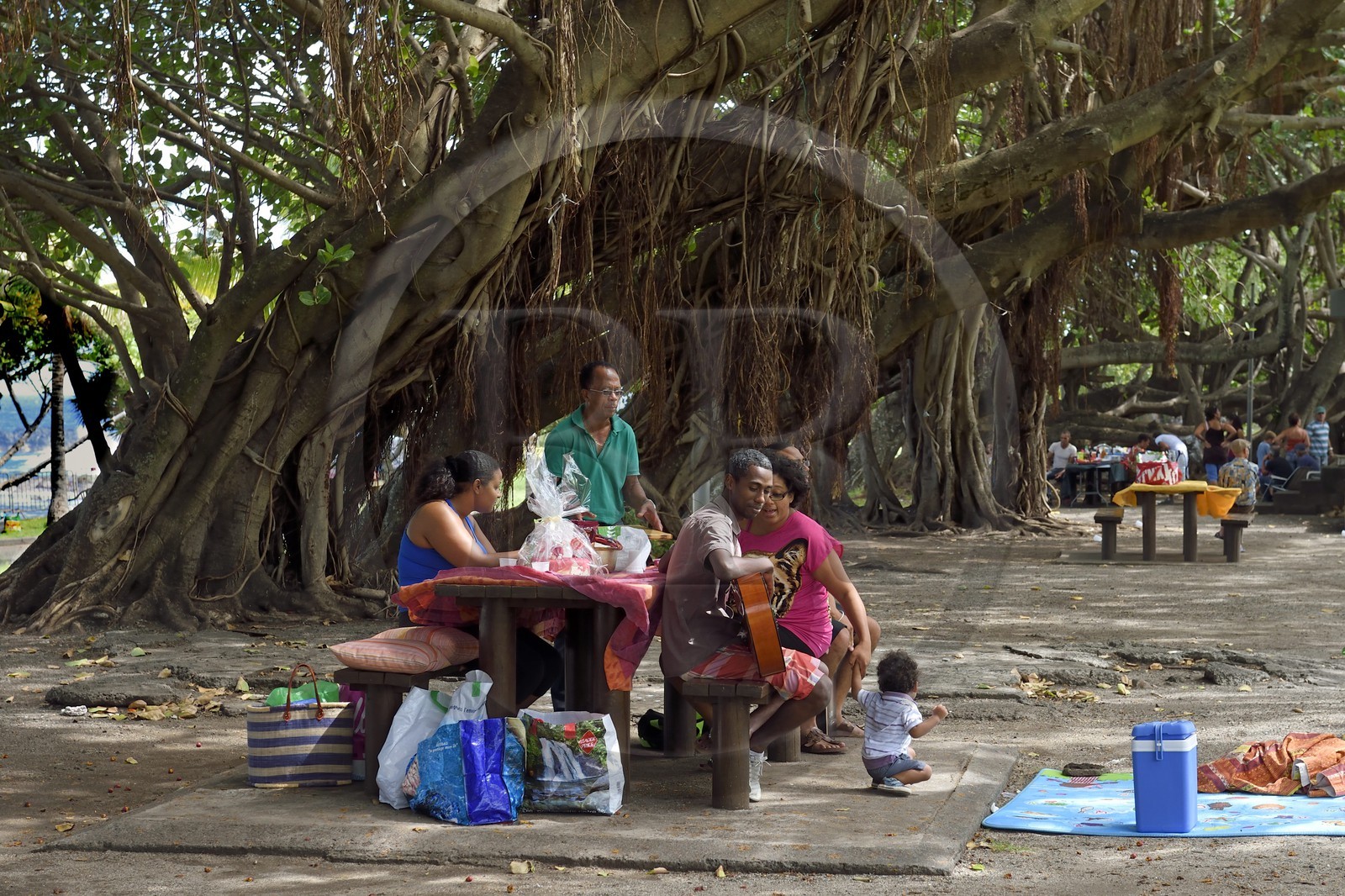 France, Ile de la Reunion, Grand Bois, pic-nic du dimanche sous les arbres