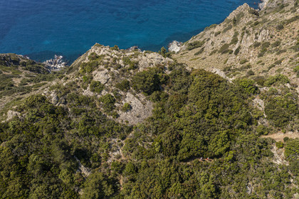 France, Var, Six Fours les Plages, hike in the Cap Sicie massif, hikers on the Roumagnan crest trail (aerial view)
