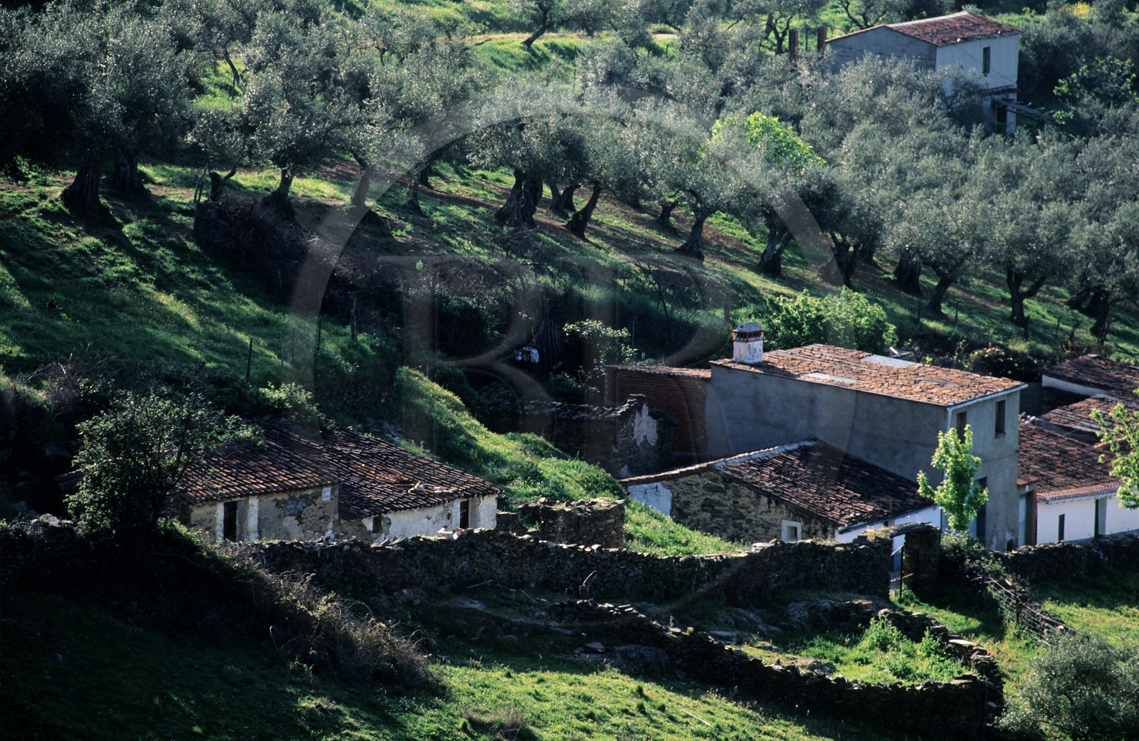 Espagne, Estrémadure, Guadalupe