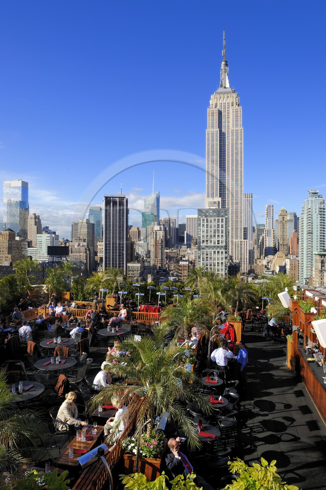 United States, New York, Manhattan, Midtown, the 230 terrace cafe on 5th Avenue and the Empire State Building