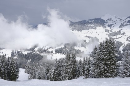 Switzerland, Canton of Vaud, Villars sur Ollon - Gryon ski area